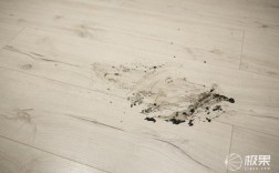 屋里地板污泥块哪来的？