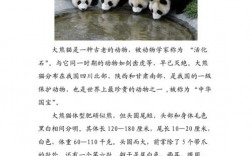 大熊猫的名字有哪些?