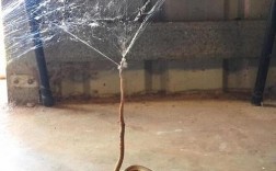 被蜘蛛网缠住代表什么？