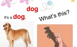 与dog发音相同的单词？（犯意的含义）
