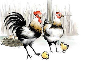 梦见家里在杀鸡的含义与解析，你的梦境可能暗示了什么？-图2