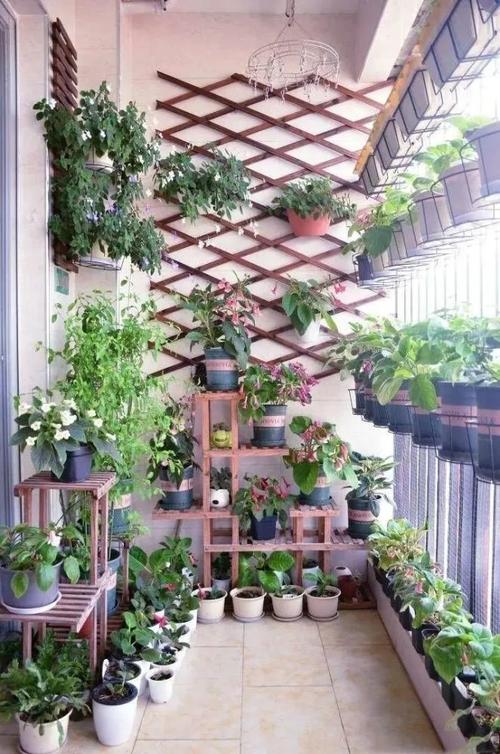 家里的阳台放什么植物？选择适合阳台的植物有哪些？-图2