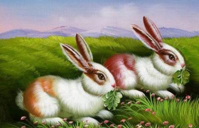 属兔的人家里挂什么画？探索属兔人的装饰品选择-图3
