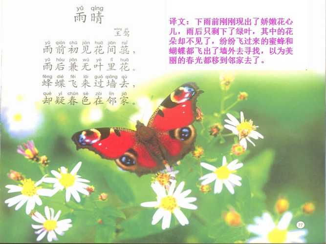 有哪些关于蝴蝶的古诗？-图3