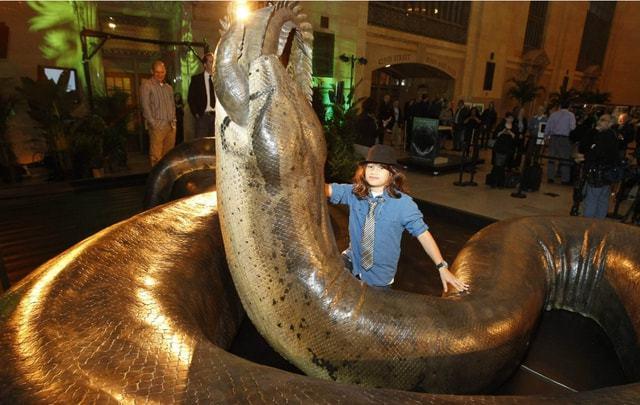 世界上最大的蛇有多大？活的最久的有多少年？-图2