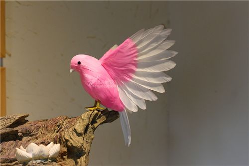 周公解梦家里飞来一只粉色的小鸟？-图3