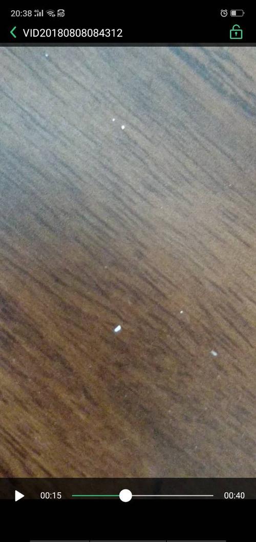 家具上有一种很小白色的虫子，是什么虫？-图2