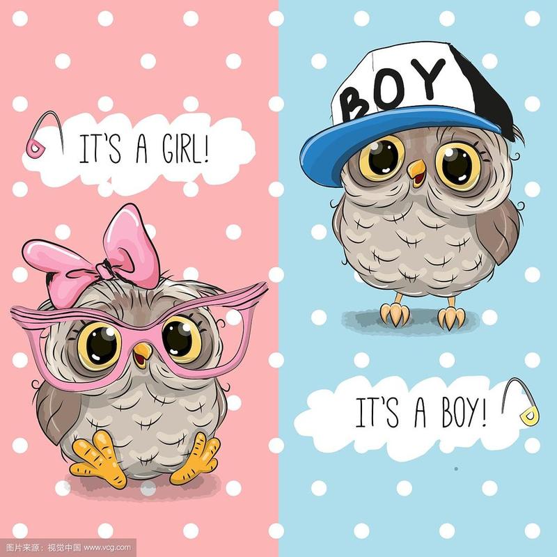 猫头鹰代表男孩还是女孩？-图1