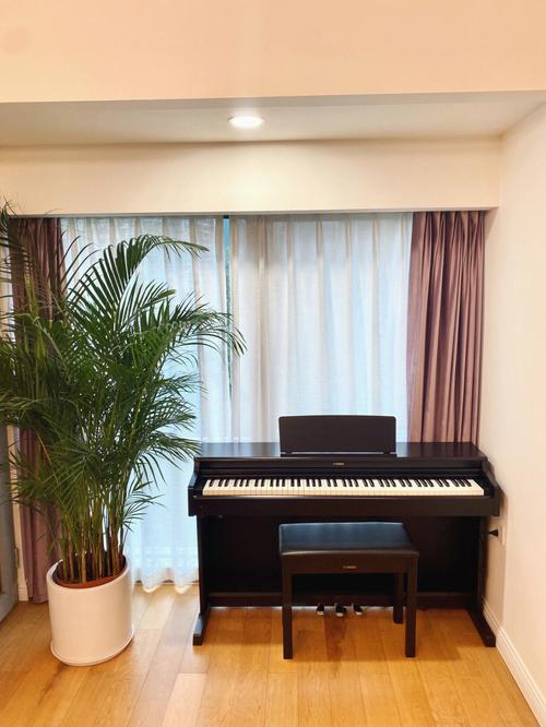 电钢琴放在家里什么地方最合适？-图2