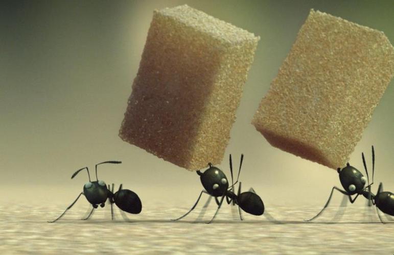 有个说法是穷蚂蚁富蟑螂还是穷蟑螂富蚂蚁啊？-图1