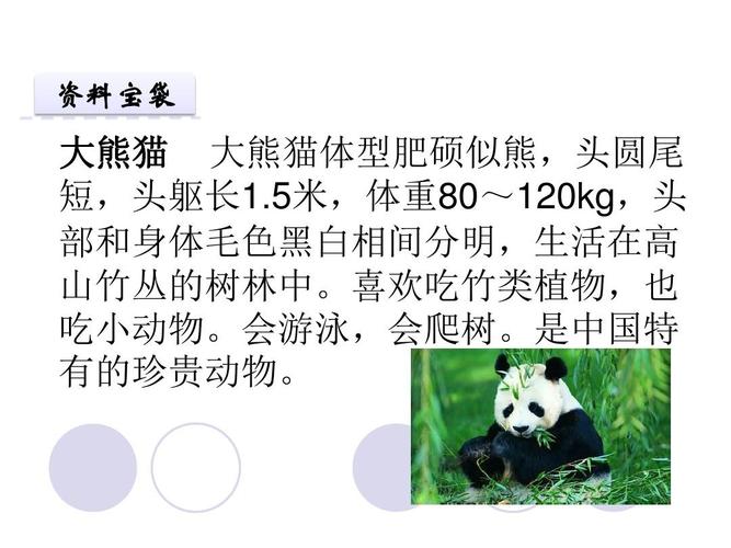 大熊猫的外形特点简单说？-图1