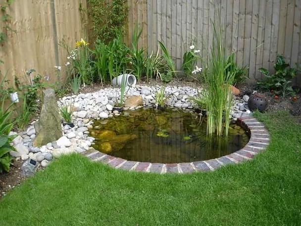 住宅前面的院子能做水池吗？-图1