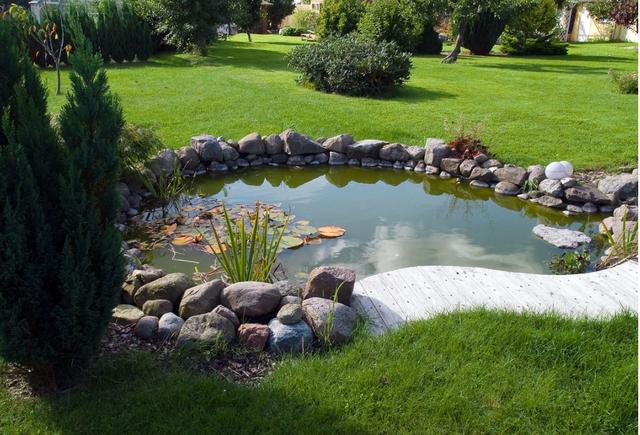 住宅前面的院子能做水池吗？-图2
