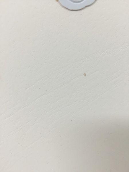 家里墙上有白色虫蛹怎么去除？-图2