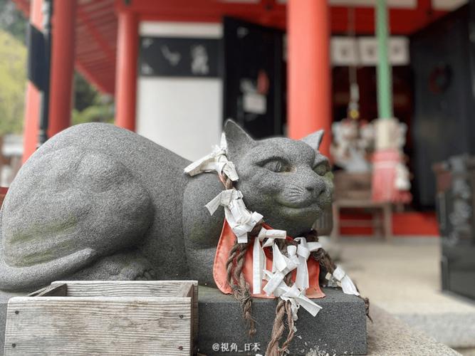 浅濑神社的猫雕像图纸怎么获取？-图1