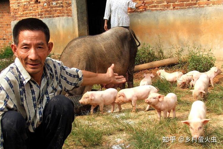我是一个农民，家里困难想办个小型养猪场，可是没有资金怎么办？-图2