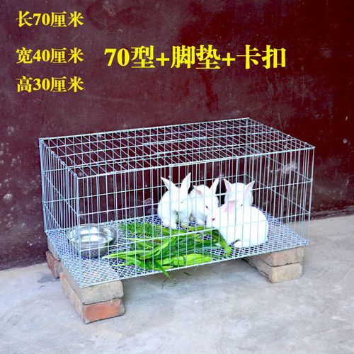 兔子可以放在露天阳台养吗？（有笼子）？-图1