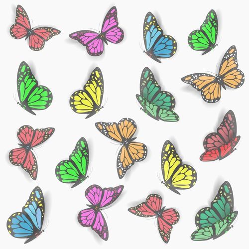 五颜六色彩蝴蝶代表什么数字？-图3