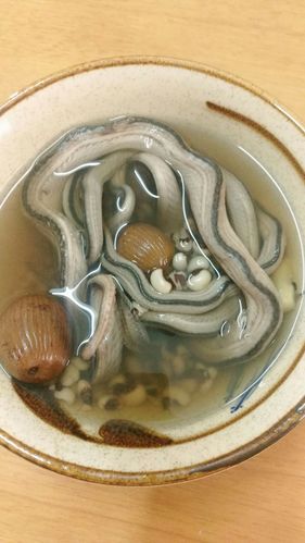 孕妇能吃蛇肉喝蛇汤吗？怀孕了妈妈给做的蛇汤而且还吃了蛇肉？-图2
