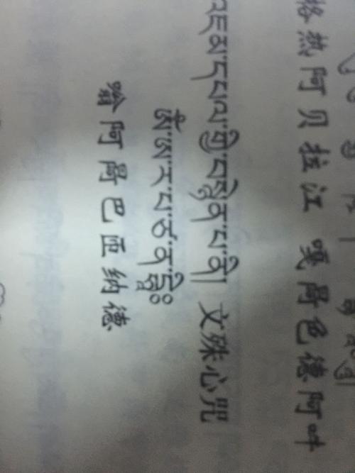 藏文名字的含义？（藏族名字含义）-图3