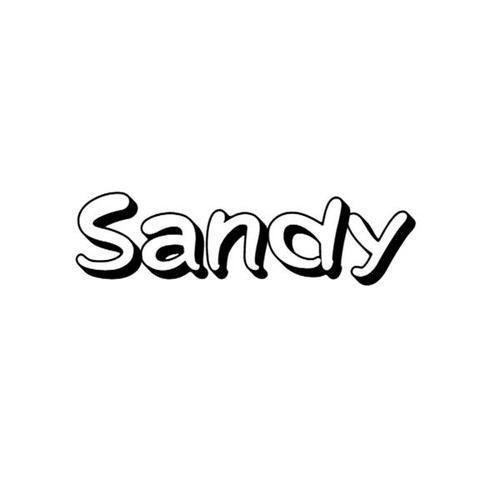 sandy英文名含义？（sandy英文名含义）-图1