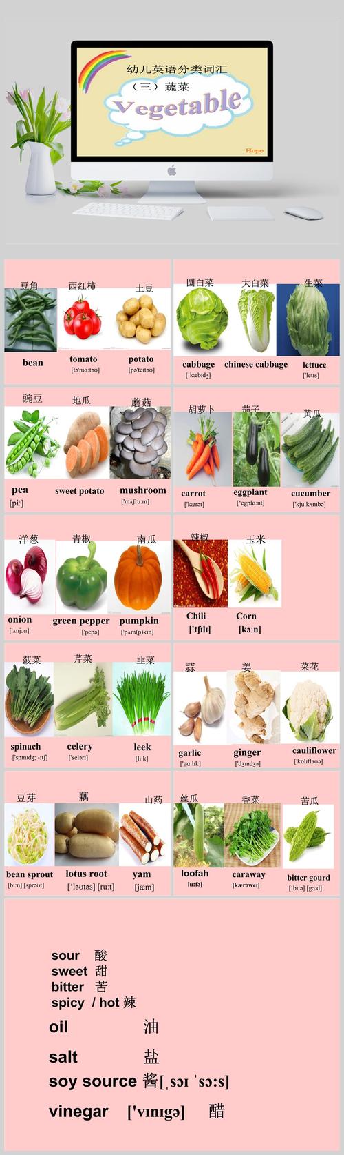 英语中蔬菜单词的特殊含义？（蔬菜的含义）-图2