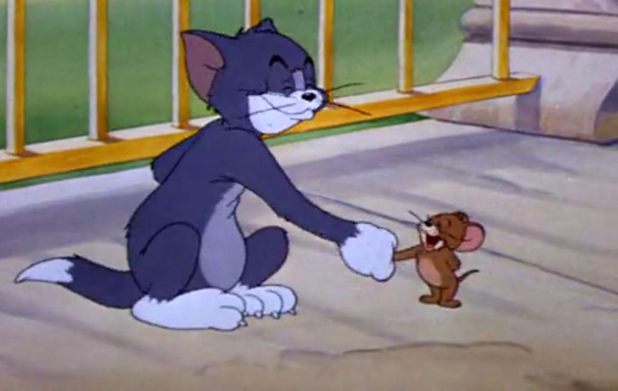 汤姆猫和杰瑞鼠的爱情含义？（猫和老鼠的真正含义）-图2
