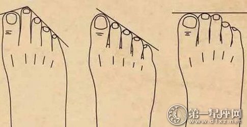 脚哪个指头最长？（脚趾头长短的含义）-图1