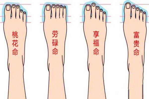 脚哪个指头最长？（脚趾头长短的含义）-图2