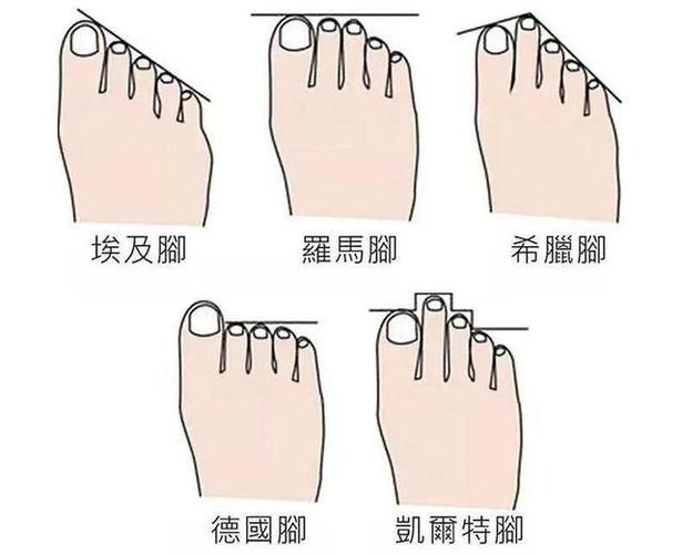 脚哪个指头最长？（脚趾头长短的含义）-图3