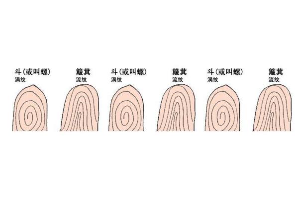 手指什么形状叫斗？（手指上的斗是什么含义）-图3
