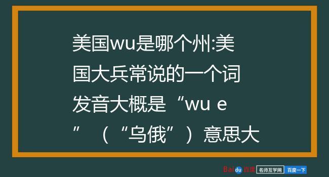 WU是什么意思？（wu含义）-图3