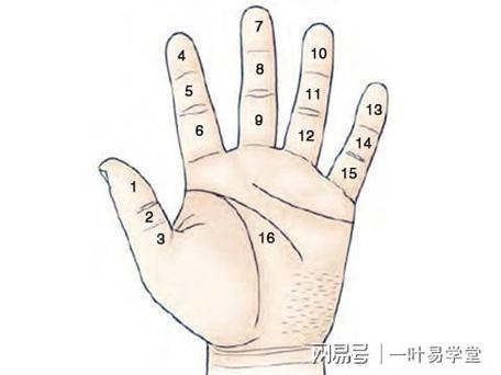 双手有痣是什么意思？（痣多的含义）-图1
