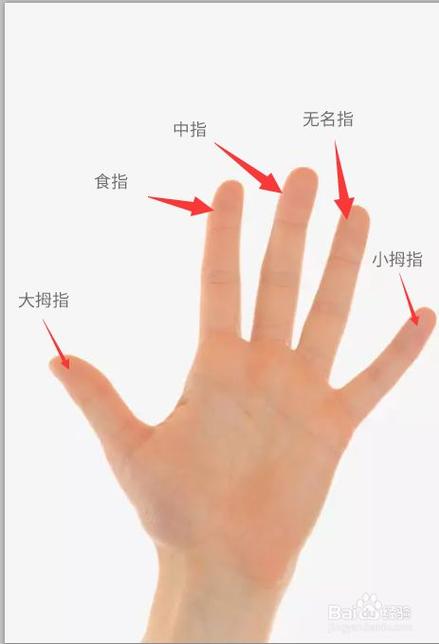 女生的无名指是哪只手指？（无名指含义）-图1