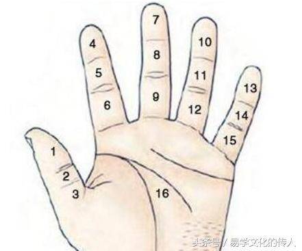 女生的无名指是哪只手指？（无名指含义）-图3
