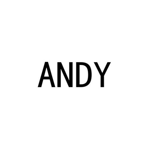 英文名andy的含义？（andy的含义）-图2