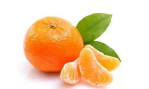柑橘的寓意？（桔子 含义）-图3