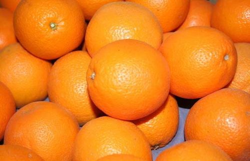 送橙子代表什么？（送橙子的含义）-图3