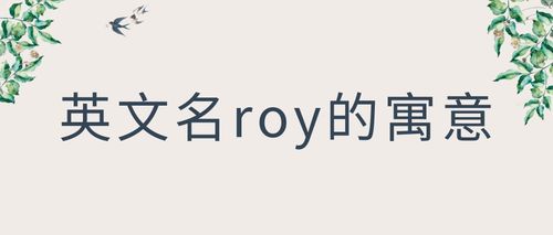 roy是什么意思？（roy名字的含义）-图2