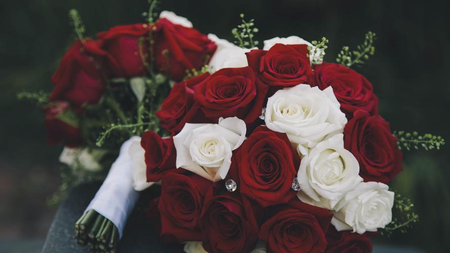 红玫瑰、白玫瑰、粉玫瑰、紫玫瑰、黑玫瑰的花语分别是什么？（各种玫瑰花代表的含义）-图3