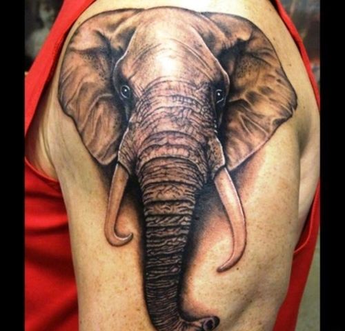 大象纹身有没有什么讲究？（鸿利含义）-图1