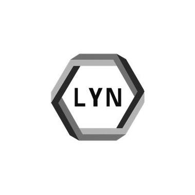 lyn是什么意思？（lyn含义）-图3