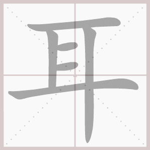 耳朵的汉语读音是什么？（耳朵含义）-图2