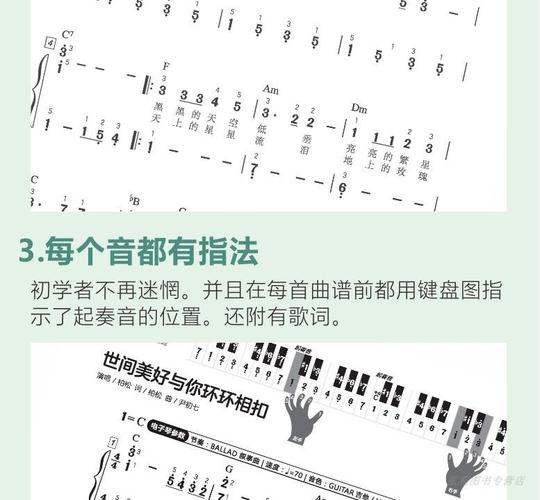 适合小学生电子琴演奏的歌曲有哪些呢？（绿头绳含义）-图3
