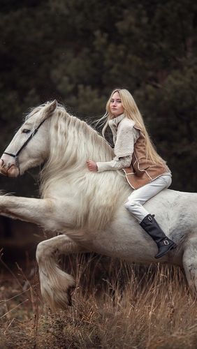 女人骑白马什么意思？（骑白马 含义）-图1
