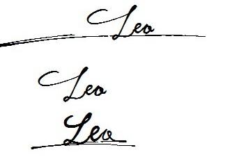 leo字符是什么意思？（leo名字含义）-图1