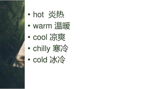 chilly和cold有什么区别？（chilly名字含义）-图2