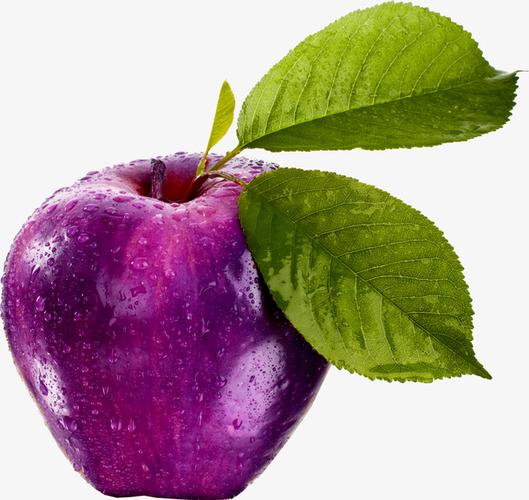 苹果紫色叫什么紫？（紫色苹果含义）-图1