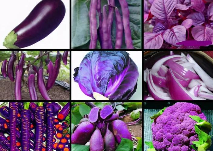 苹果紫色叫什么紫？（紫色苹果含义）-图3