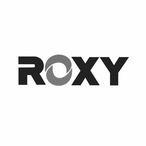 公司logo名称？（roxy名字含义）-图1